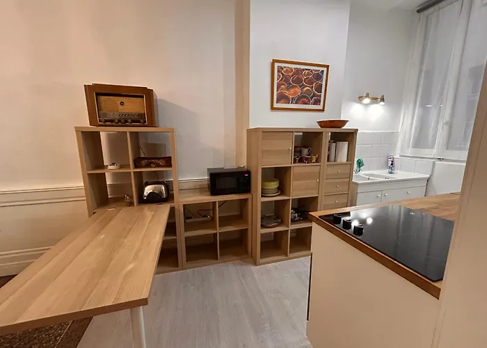 Le Victor Hugo Appartement Lyon